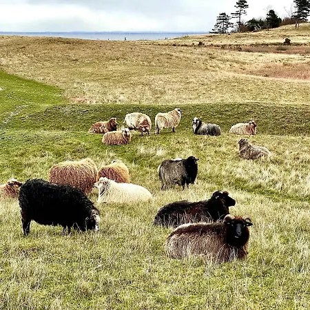Unique 60s Gem In Veddinge Hills * Fårevejle